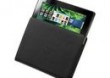 BlackBerry PlayBook Slip Case