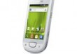 Samsung Galaxy Mini GT-S5570