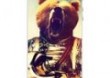 Pokrowiec MOBIO DESIGN Bear (iPhone 4 / 4S)