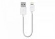 Belkin Kabel adujcy lightning 2.4A biay 15cm