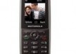 Telefon MOTOROLA WX288