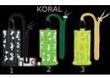 FUTERA� SOX KORAL